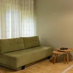Lodge Chervona Ruta *