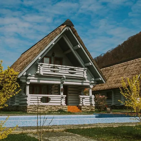 Chervona Ruta
