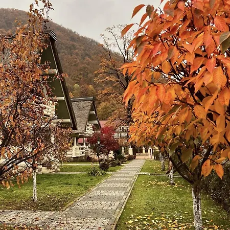 Lodge Chervona Ruta