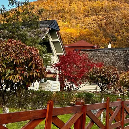 Chervona Ruta Lodge *