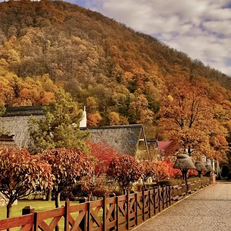 Lodge Chervona Ruta