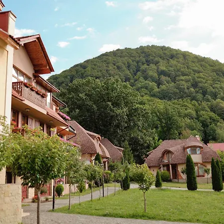 Chervona Ruta שאיאן