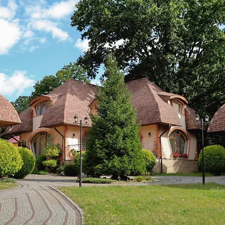 אכסניה Chervona Ruta