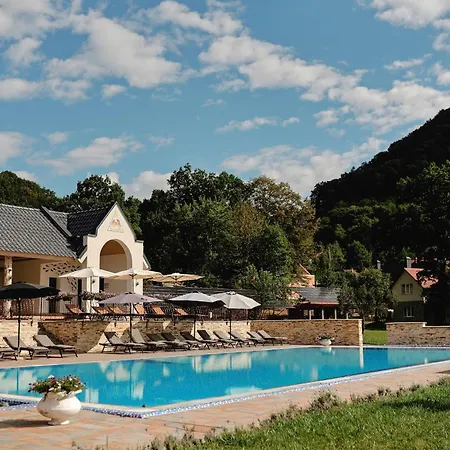 Chervona Ruta Shayan